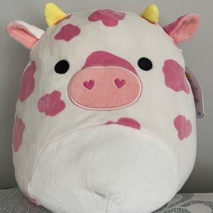 Evangelica squishmallow